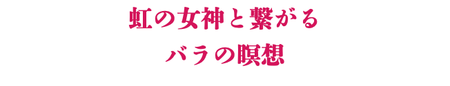 虹の女神と繋がる バラの瞑想