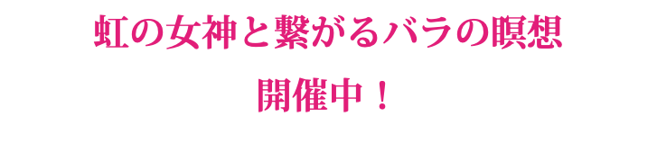 虹の女神と繋がるバラの瞑想 開催中！